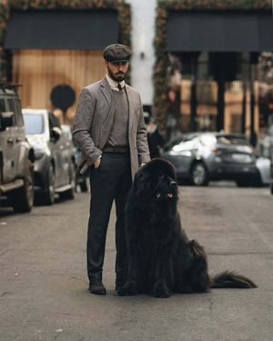 Gray Tweed Blazer with Sweater and Flat Cap	